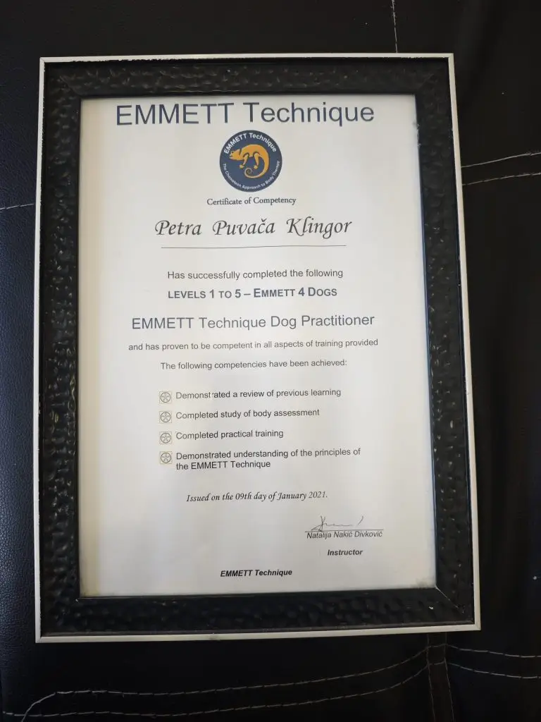 Certifikat Emmett tehnika za pse