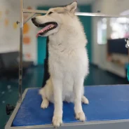 Snimka zaslona 2026-03-19 174437